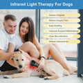 ZJKC 880Mw 650Nm×16+808Nm×4 Infrared Red Light Handheld Massage Device Portable Daily Body Care Instrument
