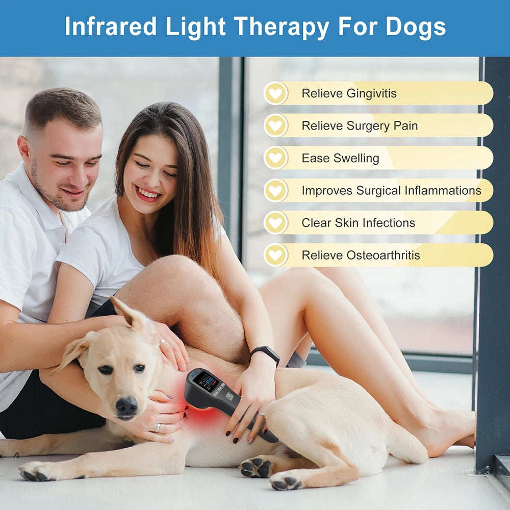 ZJKC 880Mw 650Nm×16+808Nm×4 Infrared Red Light Handheld Massage Device Portable Daily Body Care Instrument