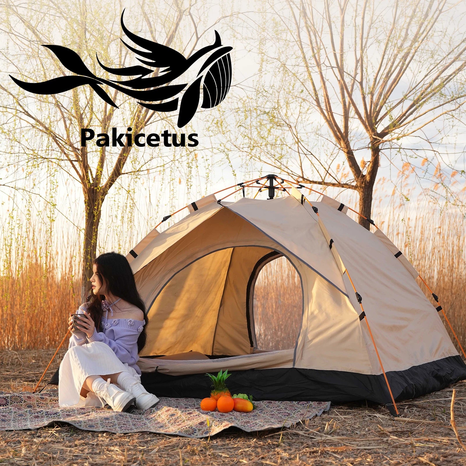 2-4 Person Camping Windproof Tents, Easy to Set Up, Lightweight Camping Tent,Carpa,Suitable for Family Travel, Outdoor Camping